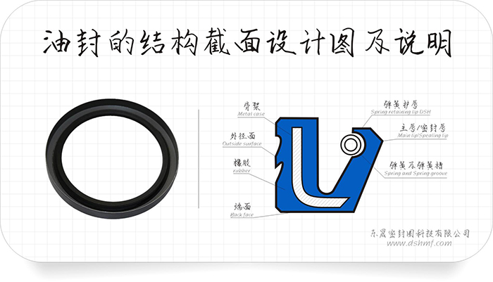 油封密封圈的外緣部4種泄漏方式及9條原因分析匯報！