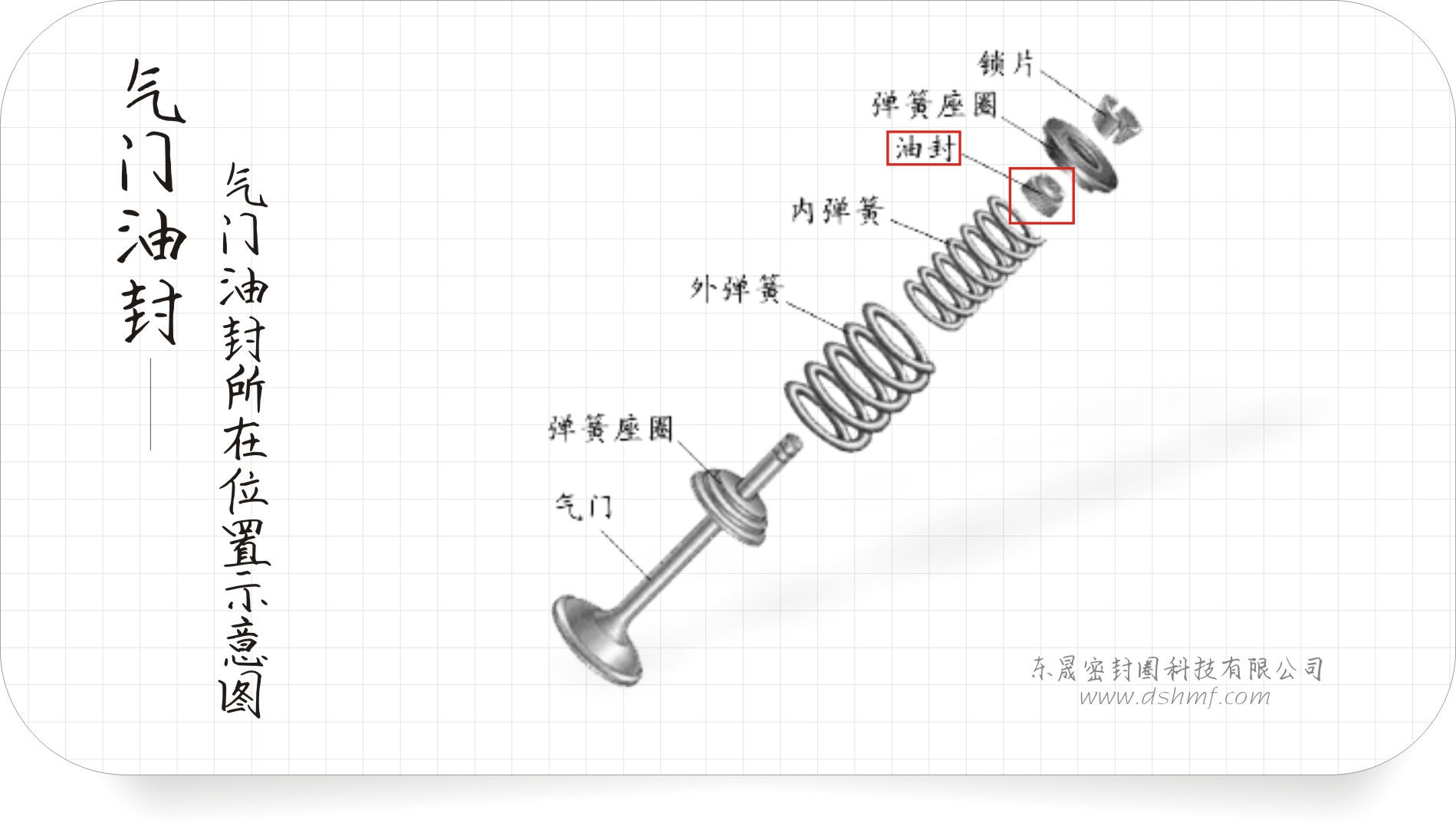 氣門(mén)油封所在位置示意圖3